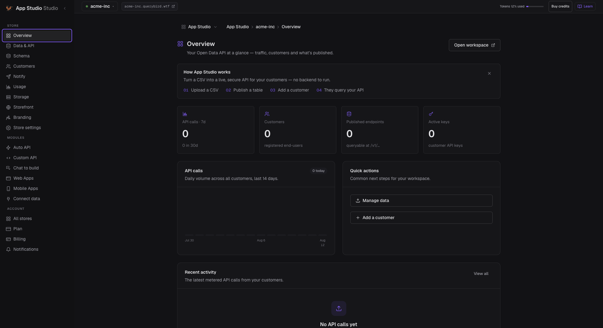 The App Studio overview: API calls, customers, published endpoints and active keys for one store, with quick actions beside the call-volume chart